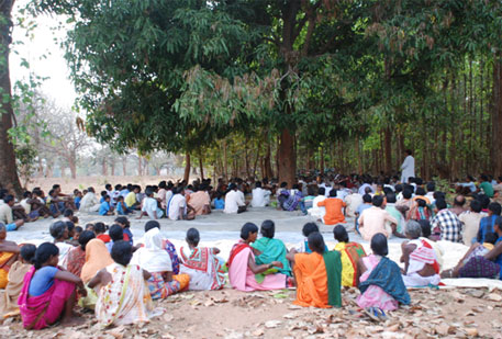 People Gather under Tree